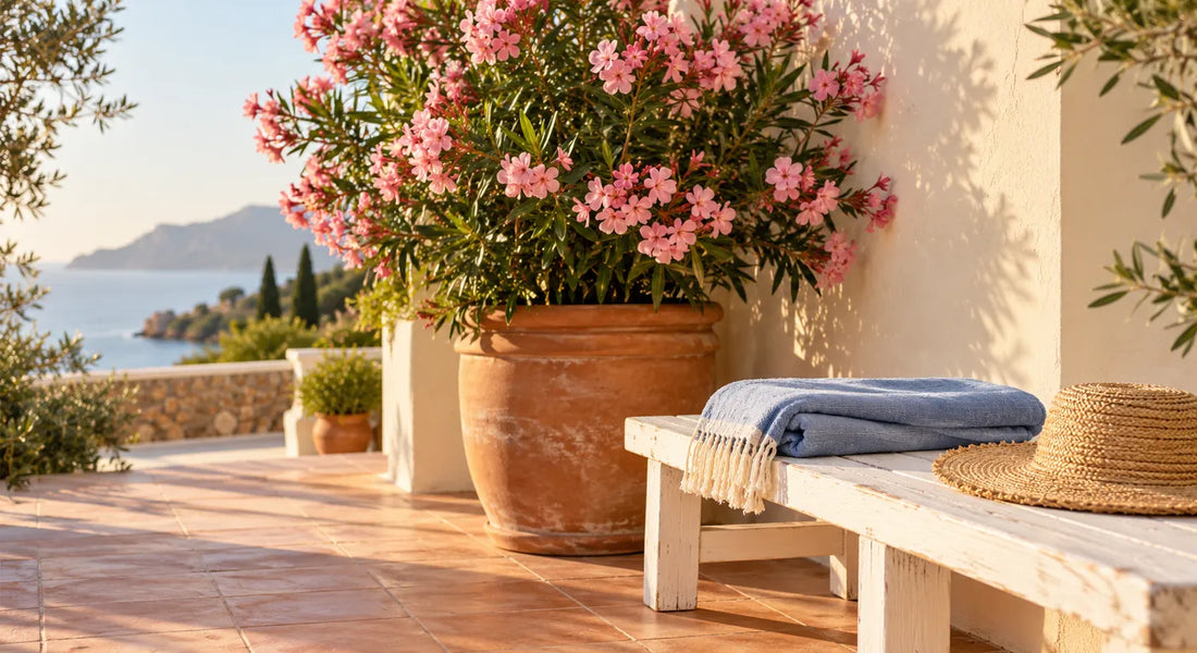 Laurier-rose en fleurs dans un grand pot en terre cuite sur une terrasse de vacances, banc et serviette bleue au premier plan