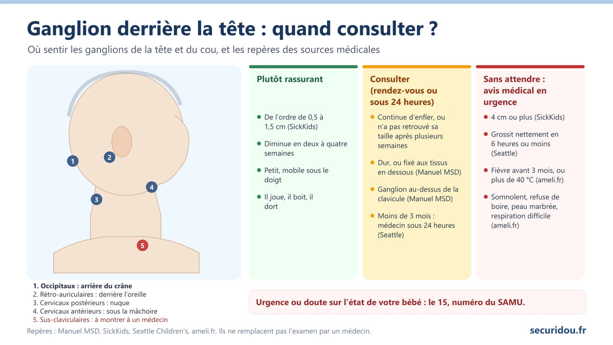 Infographie : où sentir les ganglions de la tête et du cou de votre bébé, et quand consulter ou appeler le 15